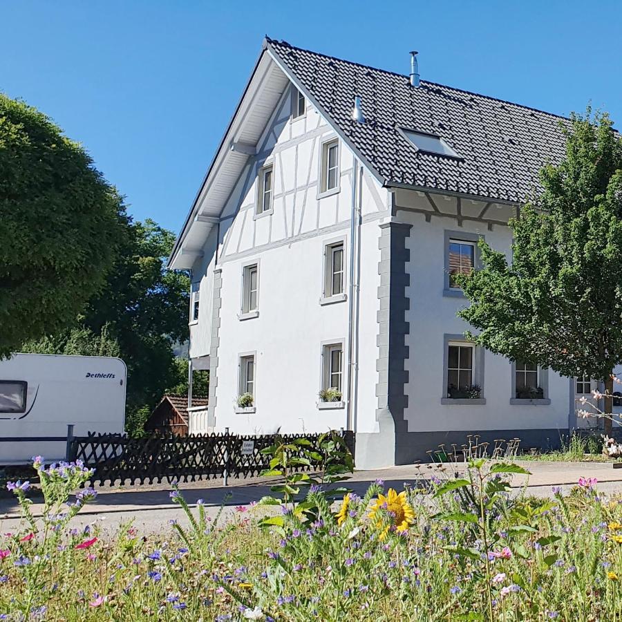 Apartment Suedwind - Beautiful Premium Apartment With 2 Bedrooms Near Rhine Falls & Zurich Airport In Klettgau Weisweil  Eksteriør billede