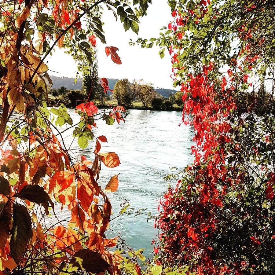 Apartment Suedwind - Beautiful Premium Apartment With 2 Bedrooms Near Rhine Falls & Zurich Airport In Klettgau Weisweil  Eksteriør billede